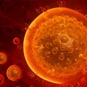 updated-human-papillomavirus-vaccination-and-testing-recommendations-from-the-american-cancer-society