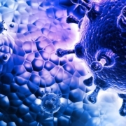 baloxavir-marboxil-recommended-as-post-exposure-prophylaxis-to-influenza-by-ema