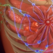 Breast-Cancer-Update-2021