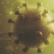 Toxic-vaccine-disinformation_有關疫苗的虛假信息