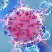 Safety-and-Immunogenicity-of-the-BNT162b2-mRNA-Covid-19-Vaccine-in-Patients-after-Allogeneic-HCT-or-CD19-based-CAR-T-therapy