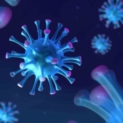 Local Updates on COVID-19 Prevention and Treatment
