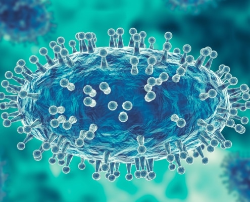 Monkeypox Virus: How Likely is a Local Outbreak?