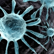 US and Chinese Studies Suggest More Severe Outcomes in COVID-19 Patients with Cancer