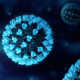 An Overview of the South African COVID-19 Subvariant Outbreak: How Serious is It?