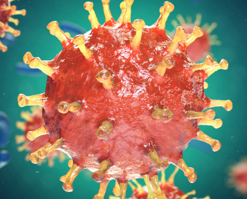 Protection is Never Premature_Maternal COVID-19 Infection and Adverse Perinatal Outcomes